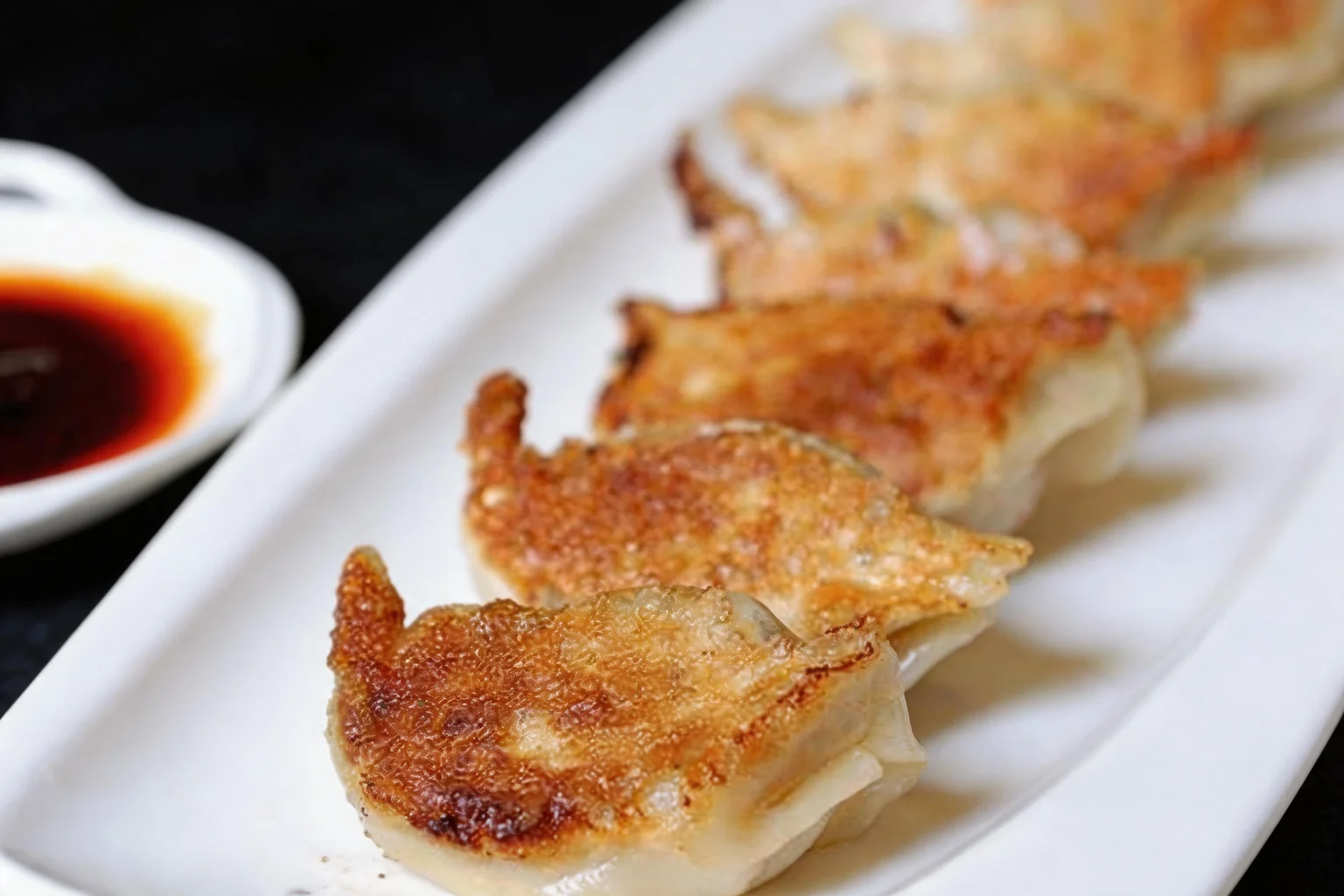 V5 Grilled dumplings on a white dish, small dish of sauce